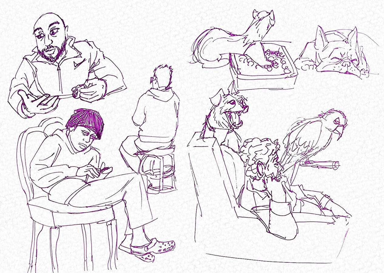 Life Studies Life Studies